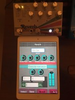 reverb.jpg